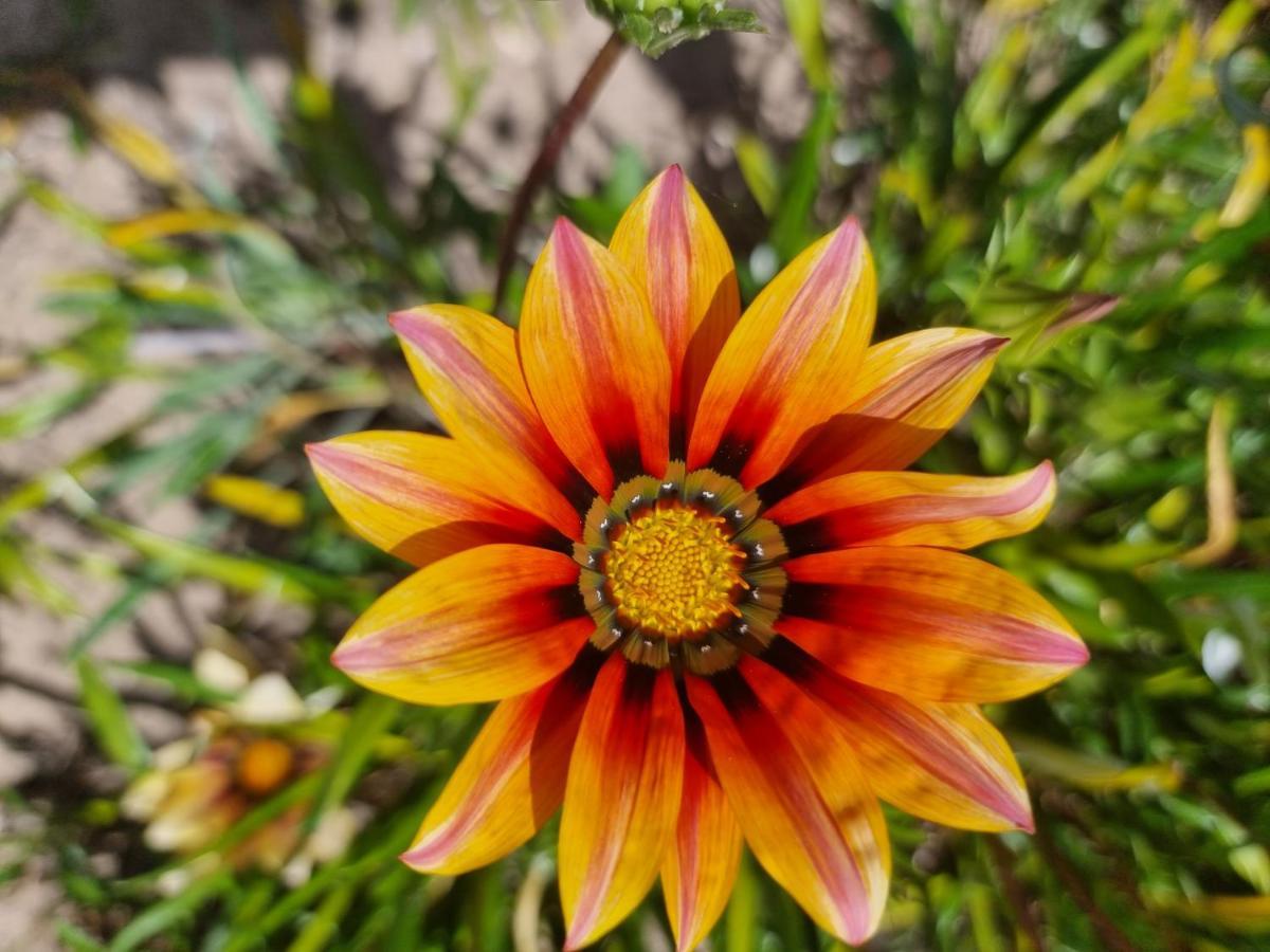 ססימברה Vila De Sol מראה חיצוני תמונה