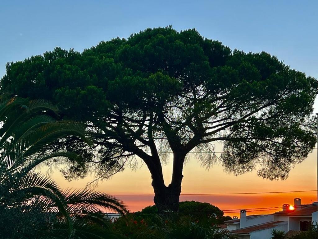 ססימברה Vila De Sol מראה חיצוני תמונה